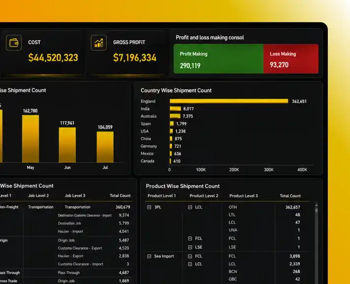 WiseBI CargoWise Overall Performance Dashboard preview