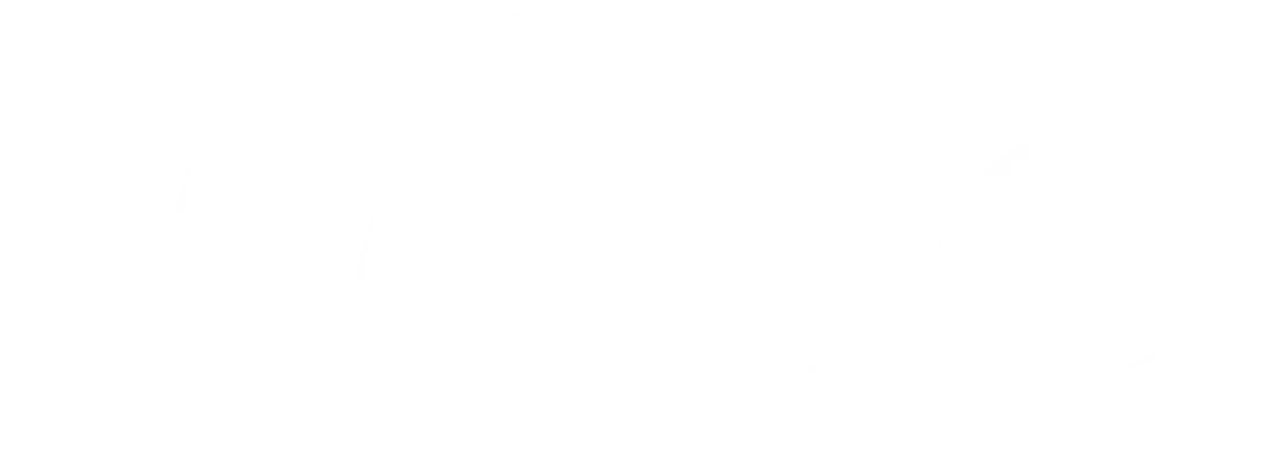 WiseBI wordmark watermark