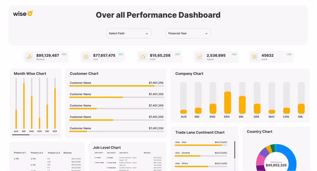 custom bi development