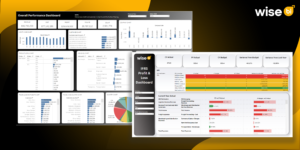 What are the Advantages of Custom BI Development for Magaya Users?
