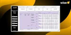 Why Logistics Companies Need a Management Balance Sheet Dashboard - WiseBI