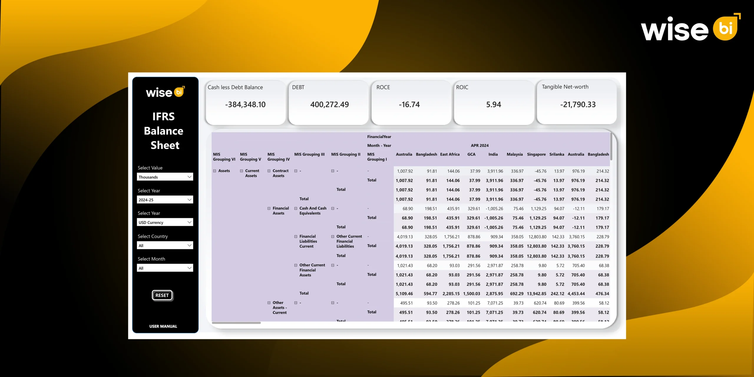 CargoWise IFRS Balance Sheet Dashboard for Logistics Finance - WiseBI